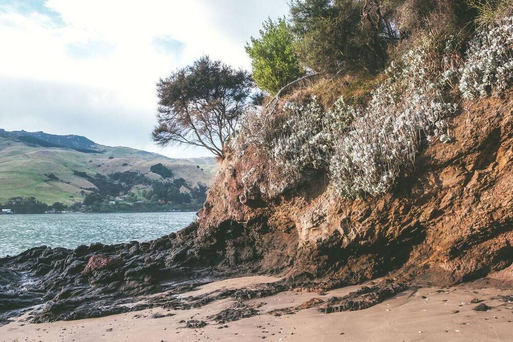 Photo of Others in Pigeon Bay