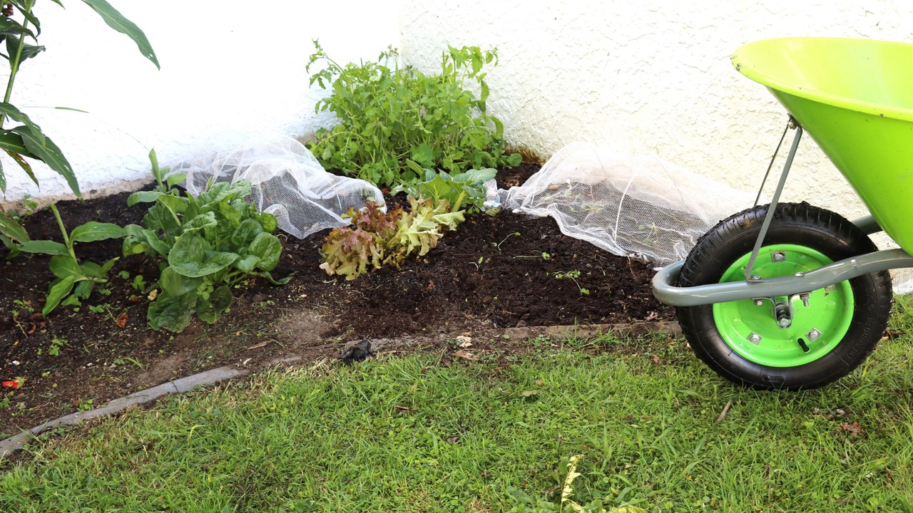Photo of Outdoor in Tauranga