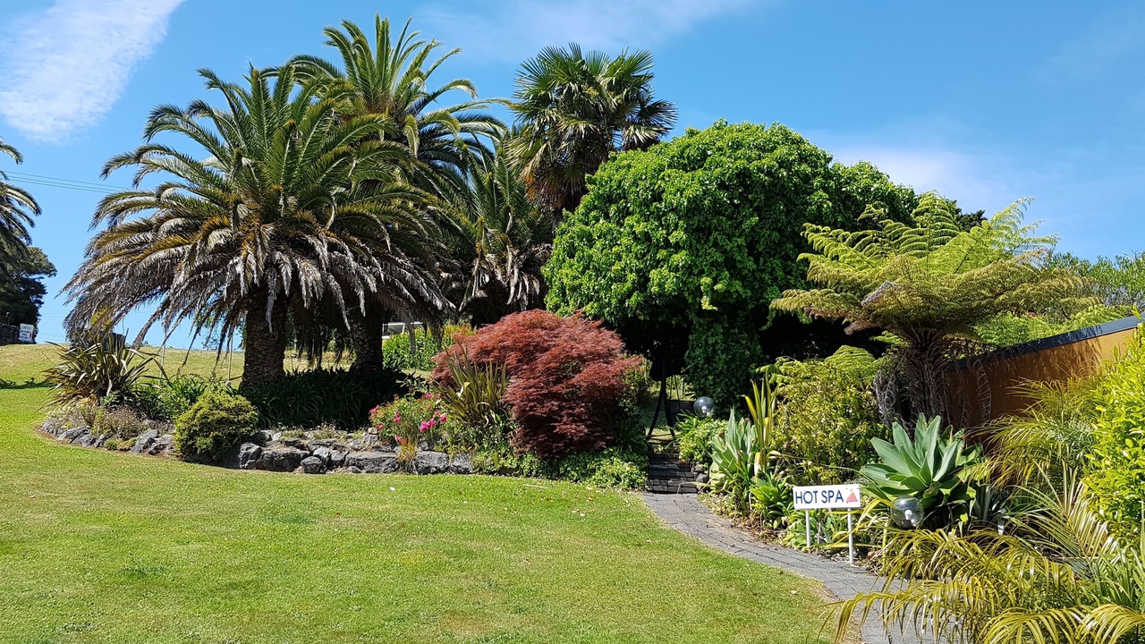 Photo of Others in Paihia