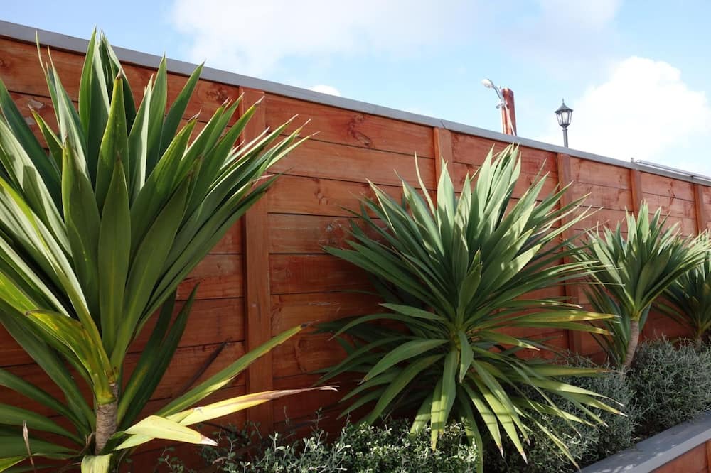 Photo of Outdoor in Parakai