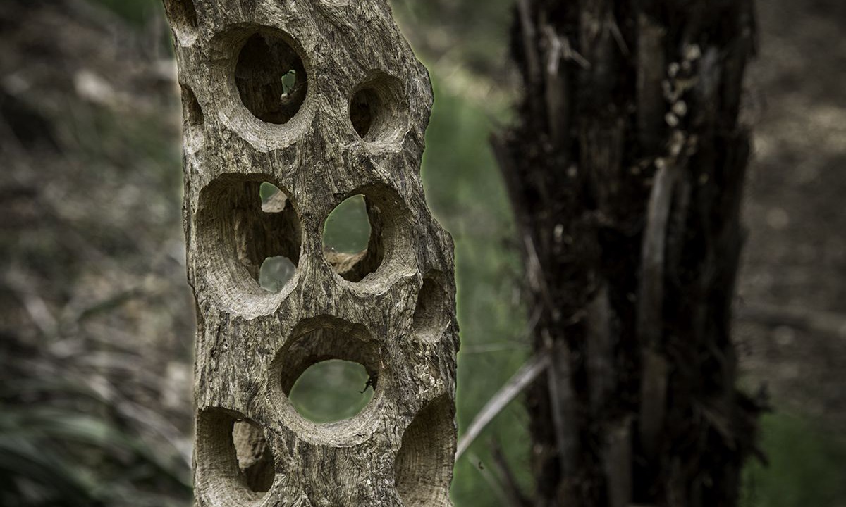 Photo of Outdoor in Kerikeri