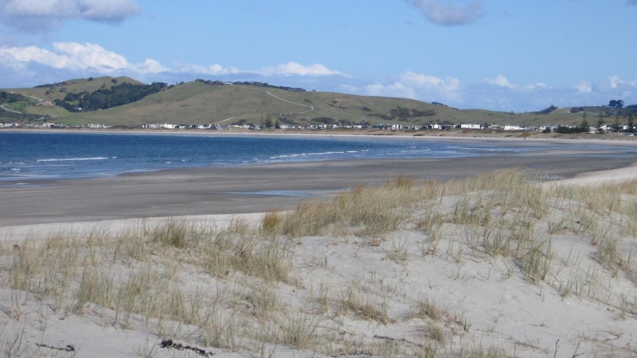 Photo of Others in Warkworth