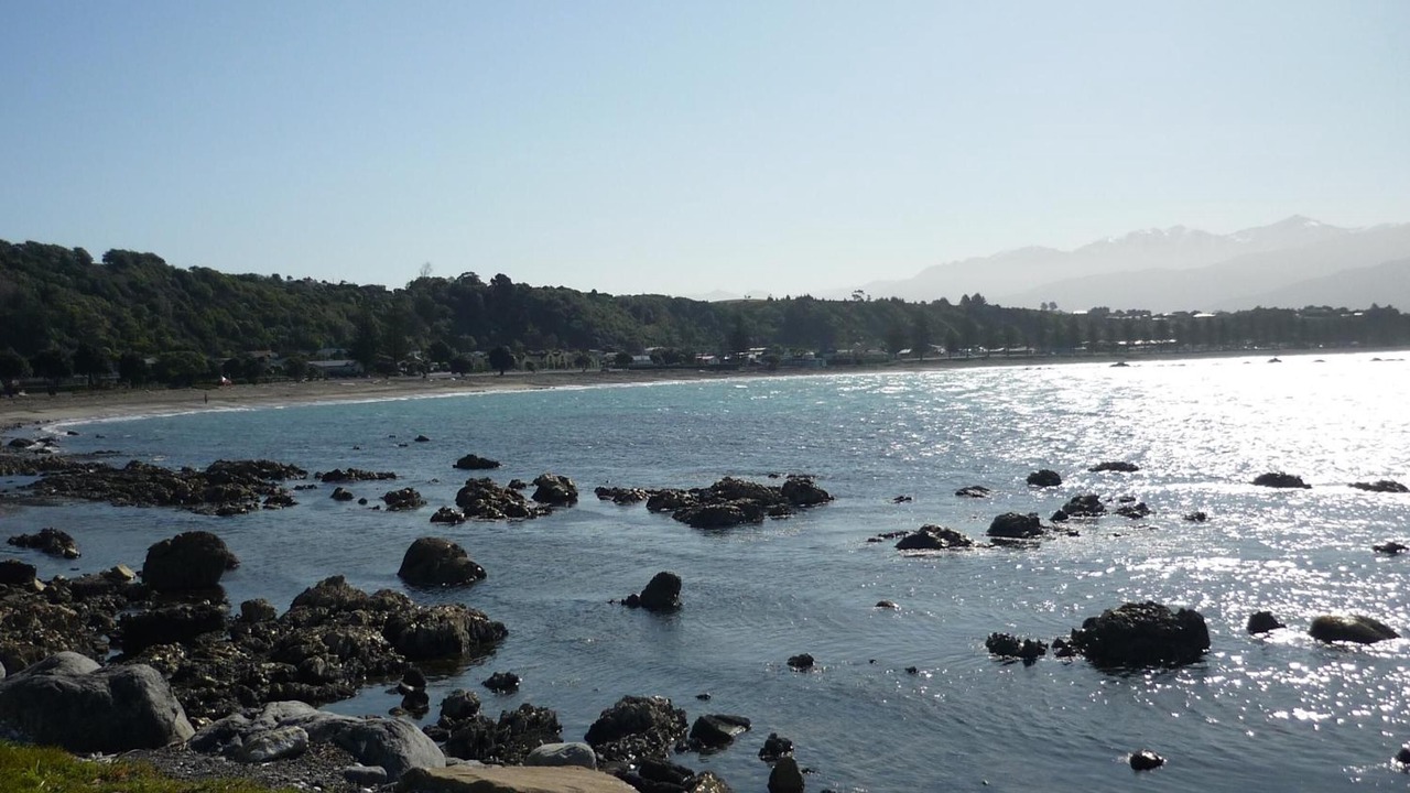 Photo of Others in Kaikoura
