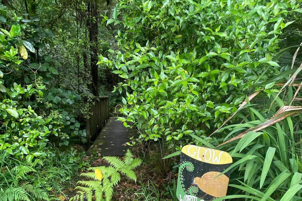 Photo of Outdoor in Albany Heights