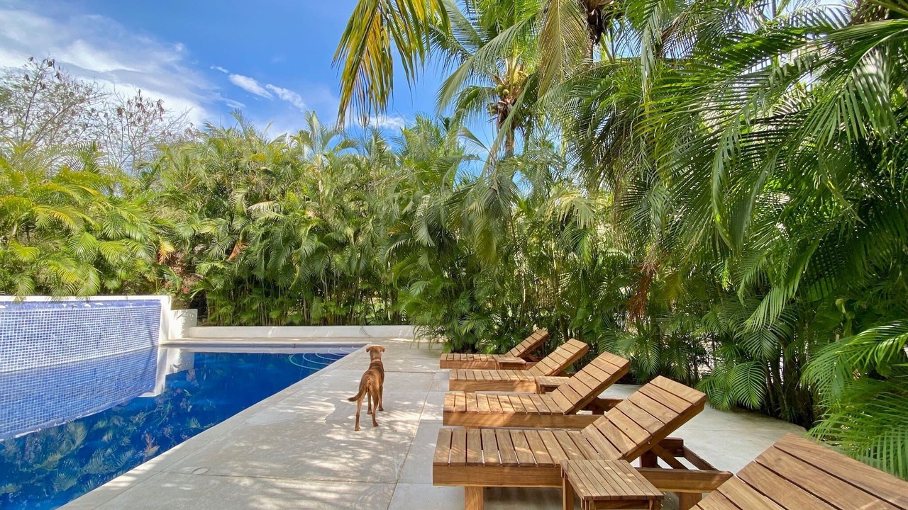 Photo of Outdoor in Playa Las Gatas
