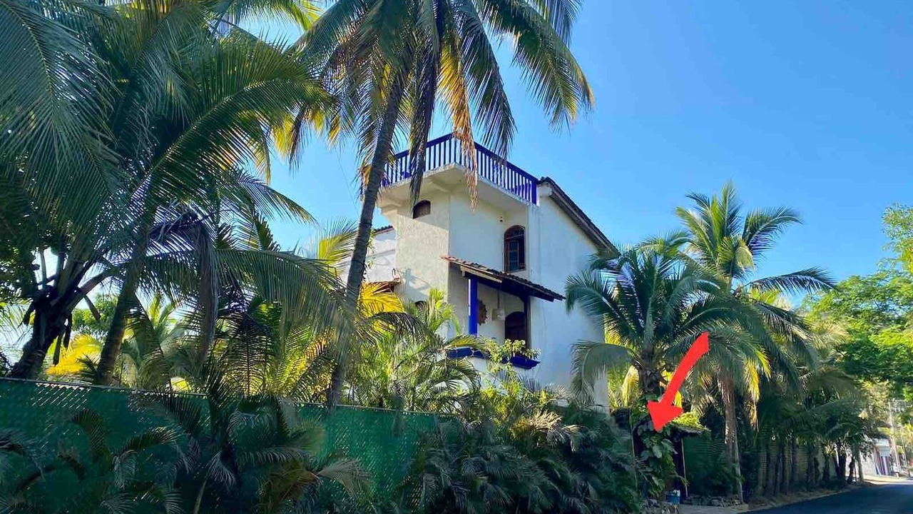 Photo of Outdoor in Playa Las Gatas