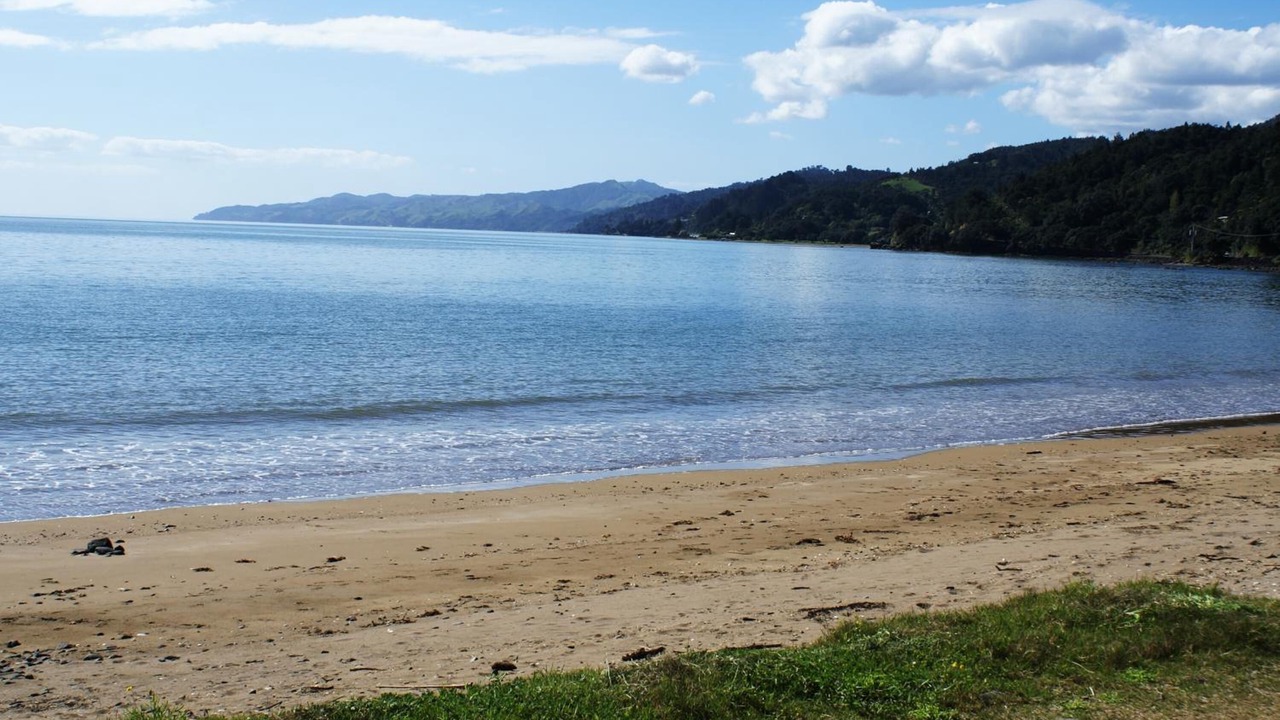 Photo of Others in Te Puru