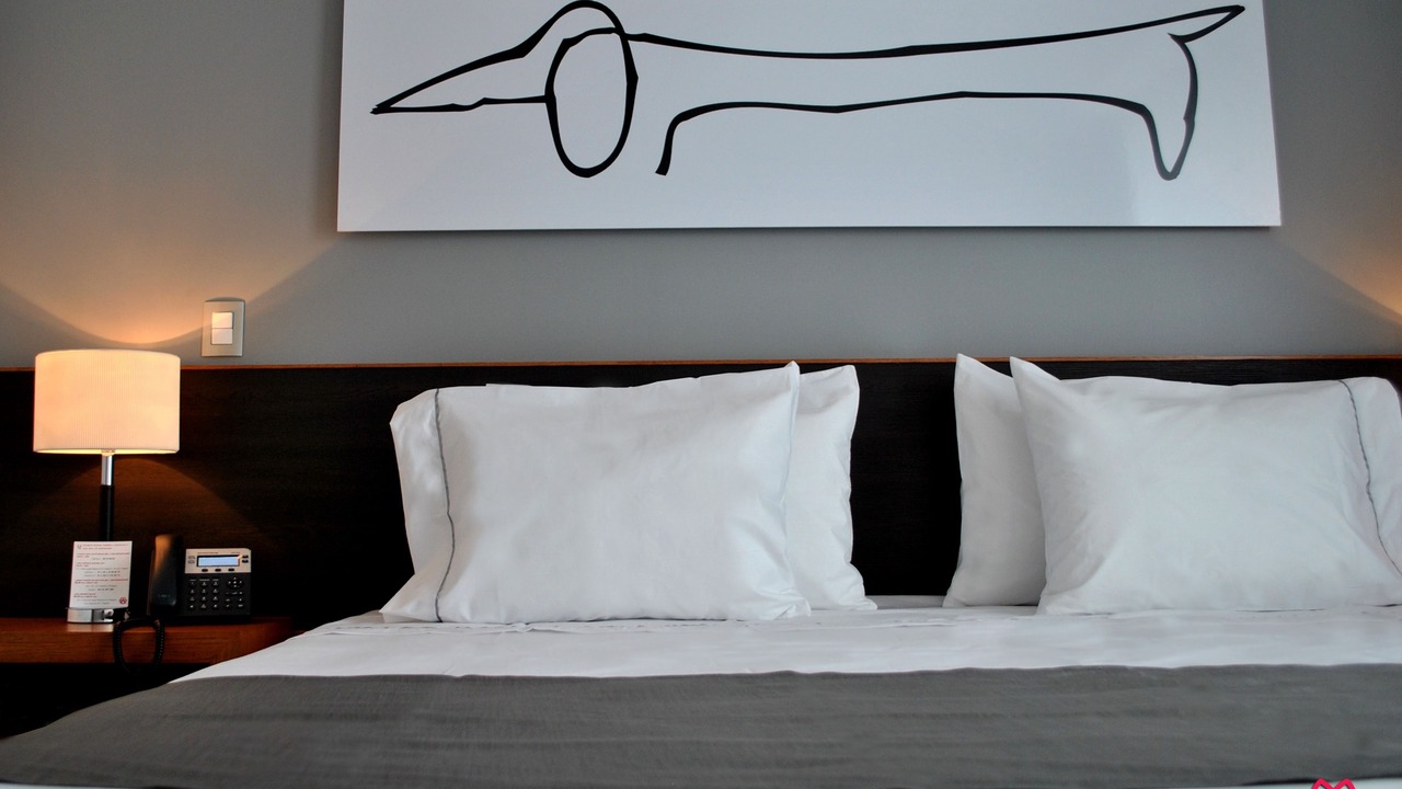 Photo of Bedroom in Zona Expo