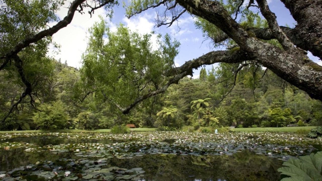 Photo of Outdoor in Tapu