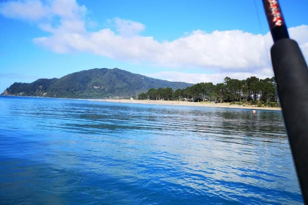 Photo of Outdoor in Tairua