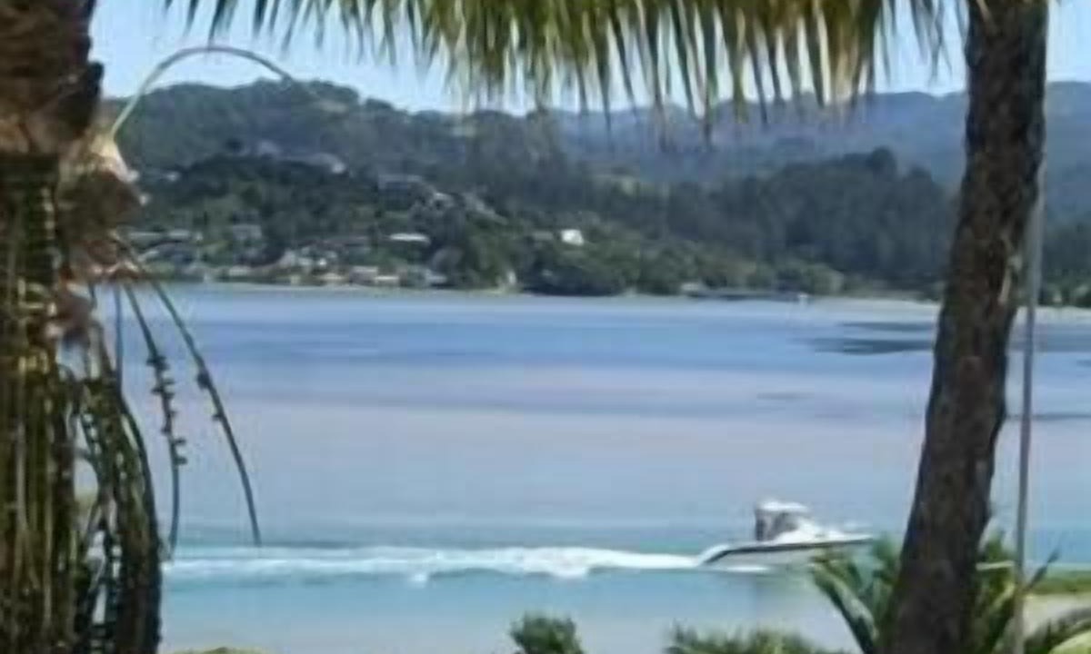 Photo of Outdoor in Tairua