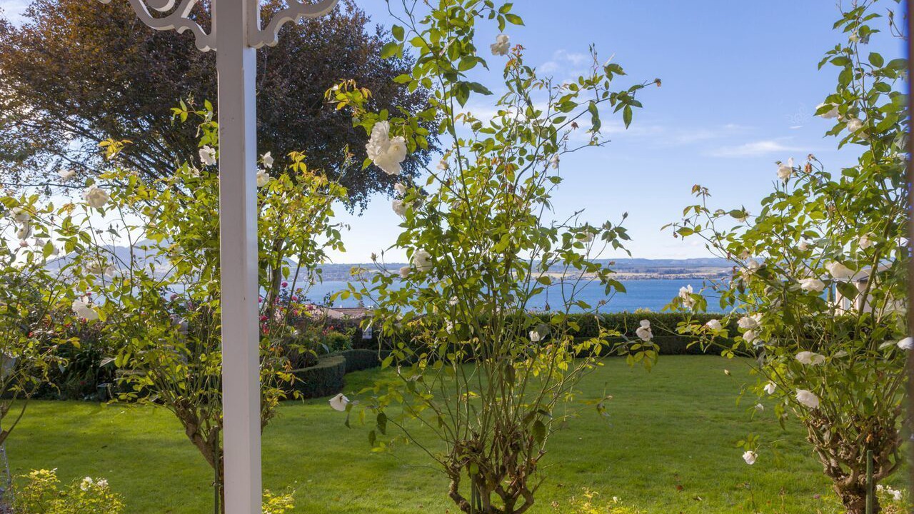 Photo of Others in Taupo