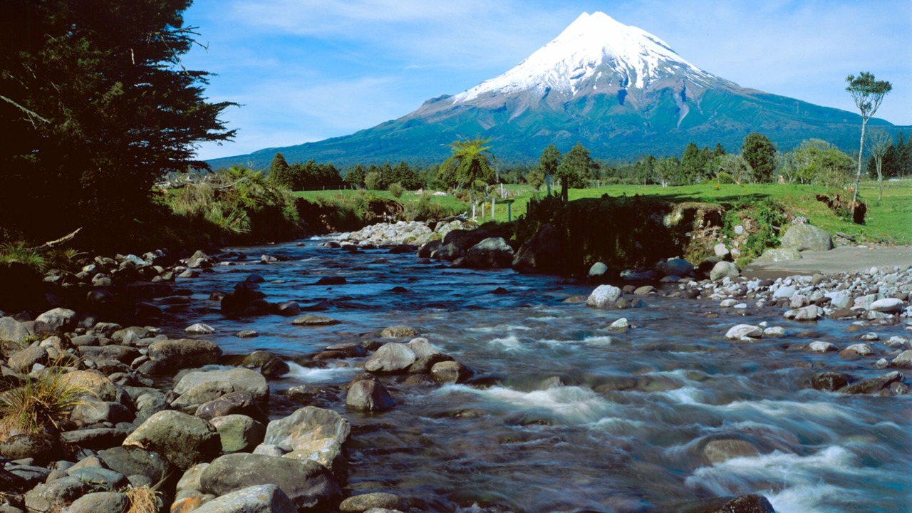 Photo of Others in New Plymouth