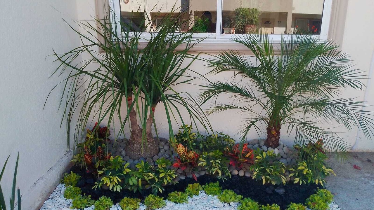 Photo of Outdoor in La Joya