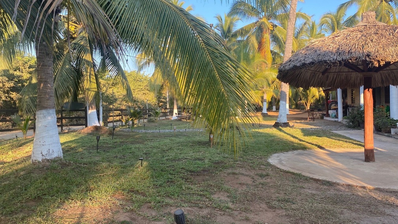 Photo of Outdoor in Saladita