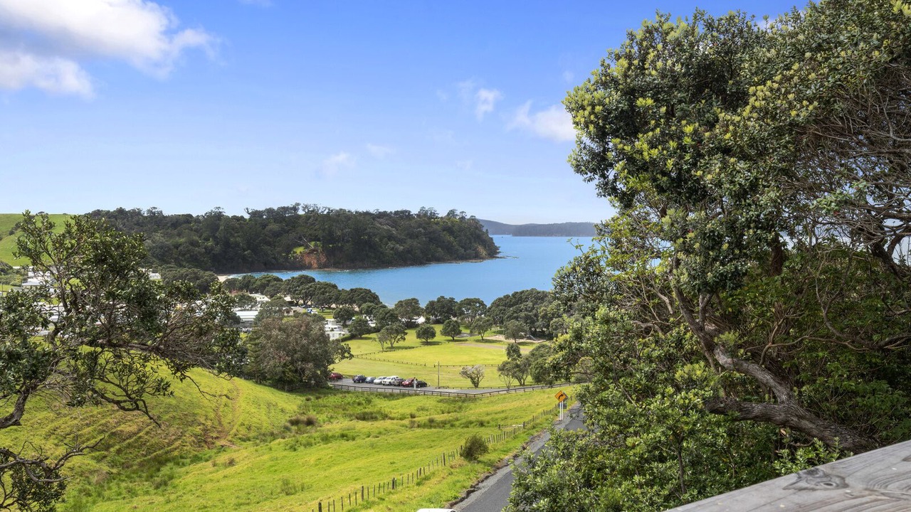 Photo of Outdoor in Mahurangi East