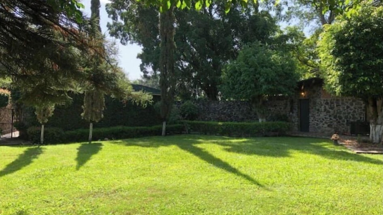 Photo of Outdoor in Yautepec