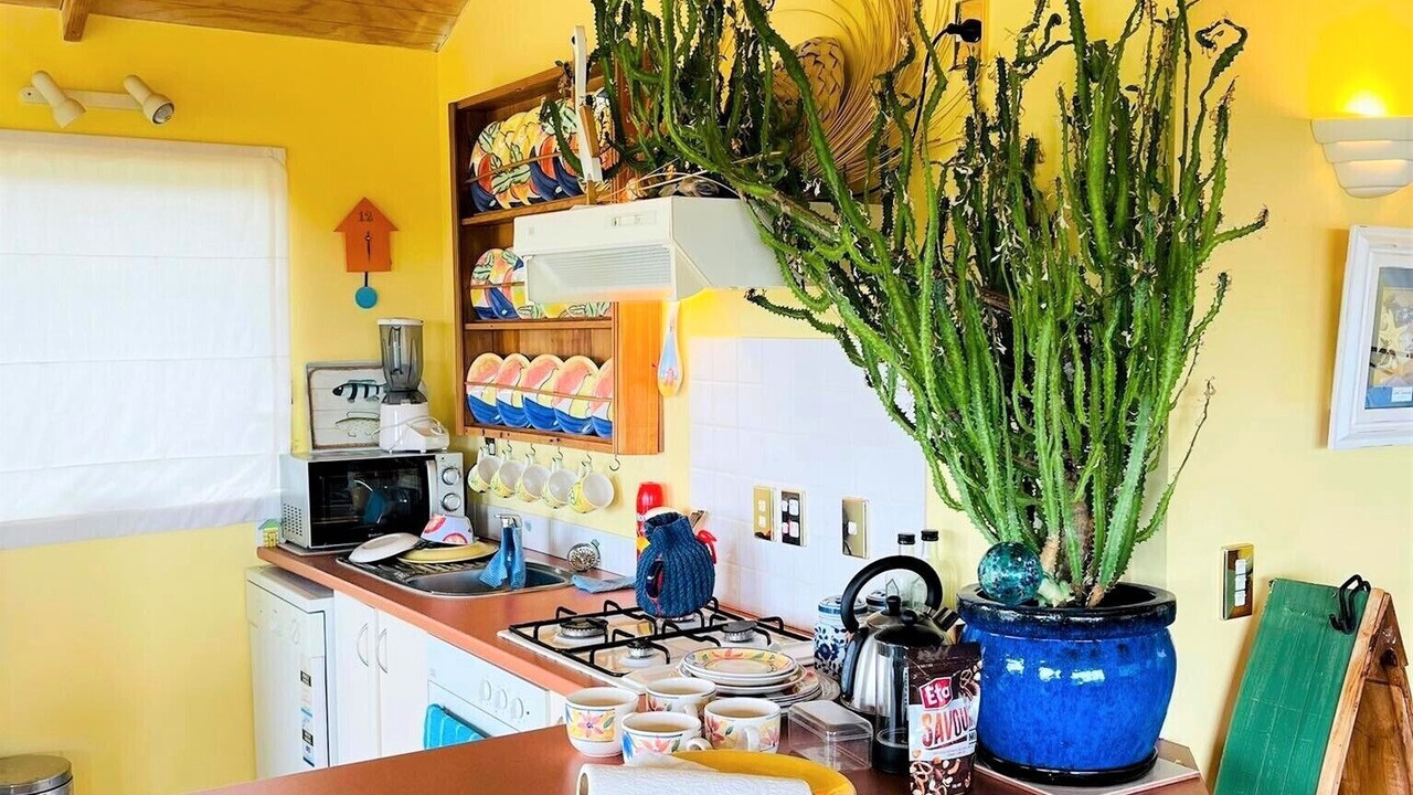 Photo of Kitchen in Te Akau