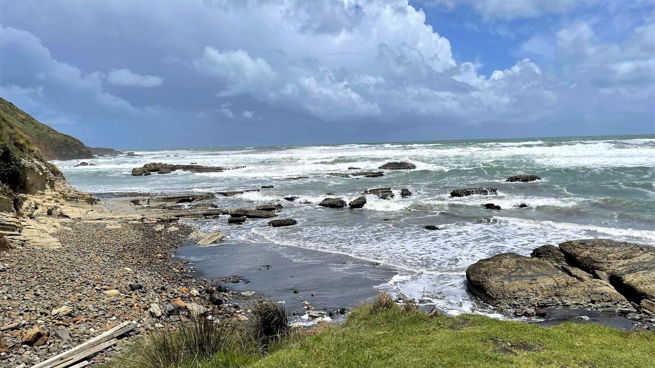 Photo of Others in Te Akau