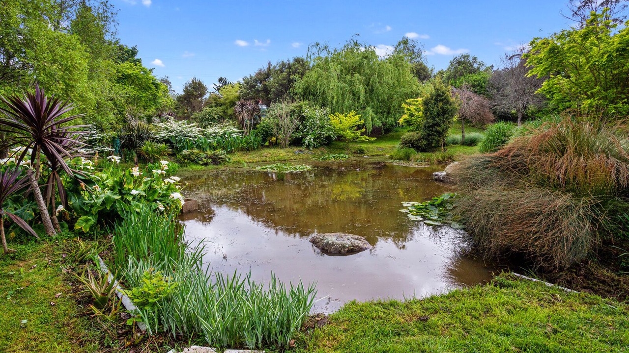 Photo of Outdoor in Waihi