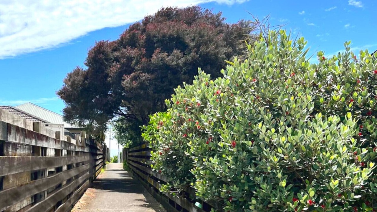 Photo of Outdoor in Papamoa Beach