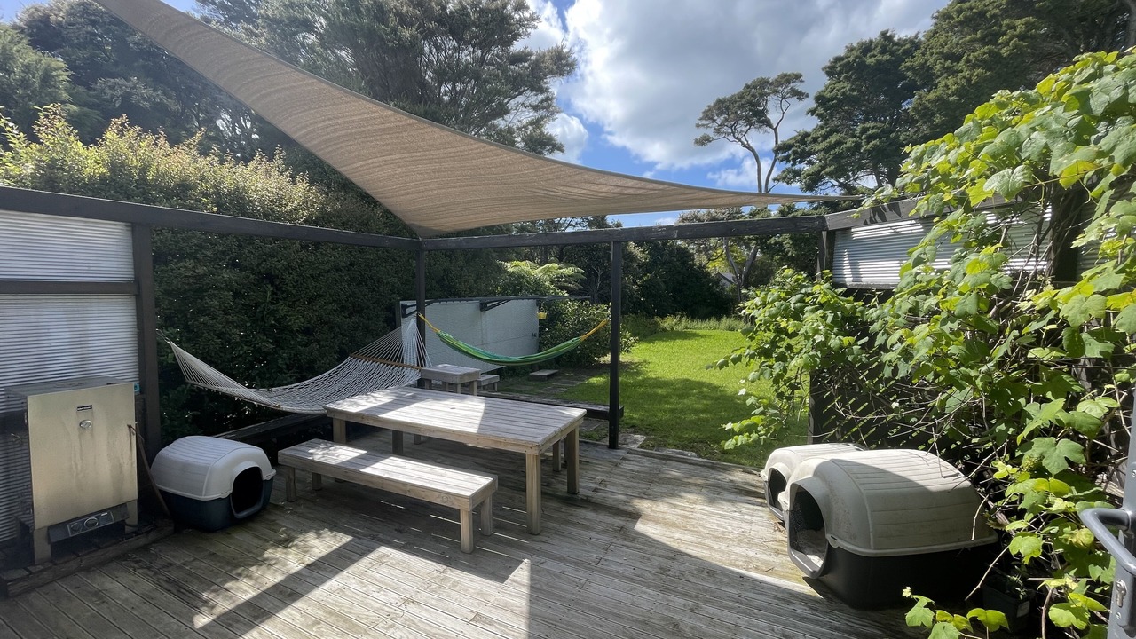 Photo of Outdoor in Algies Bay