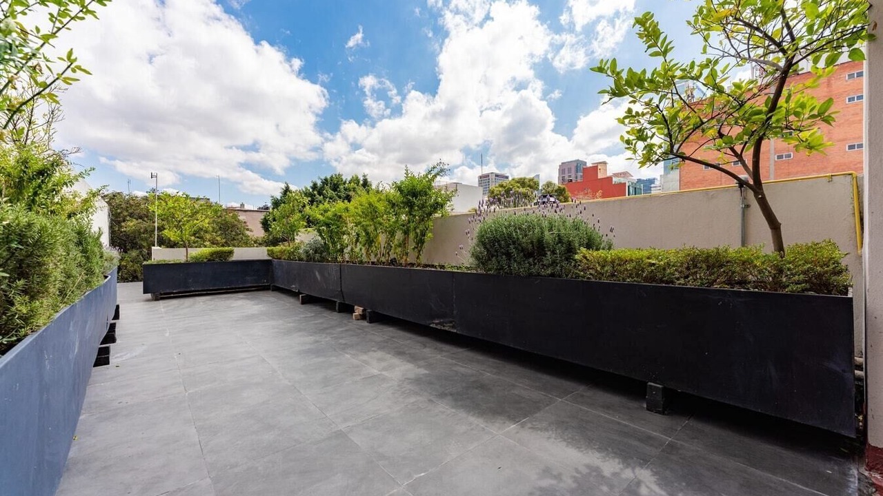 Photo of Outdoor in Colonia Cuauhtemoc
