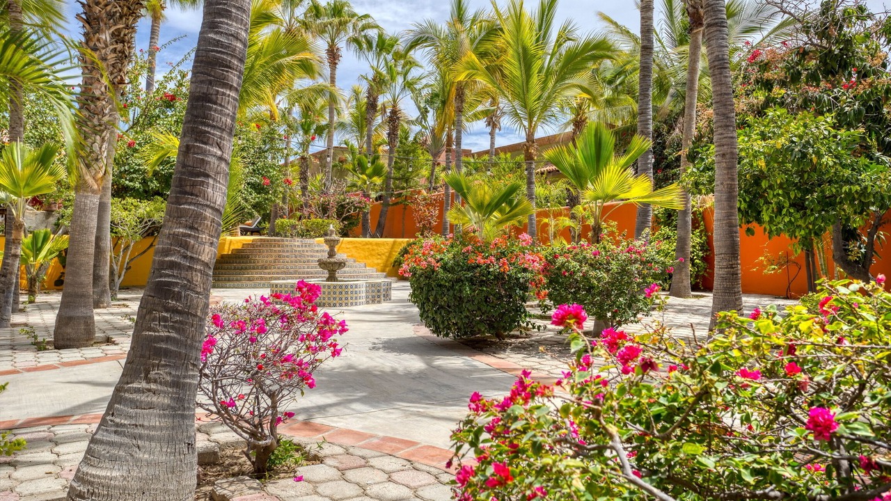 Photo of Outdoor in Los Barriles