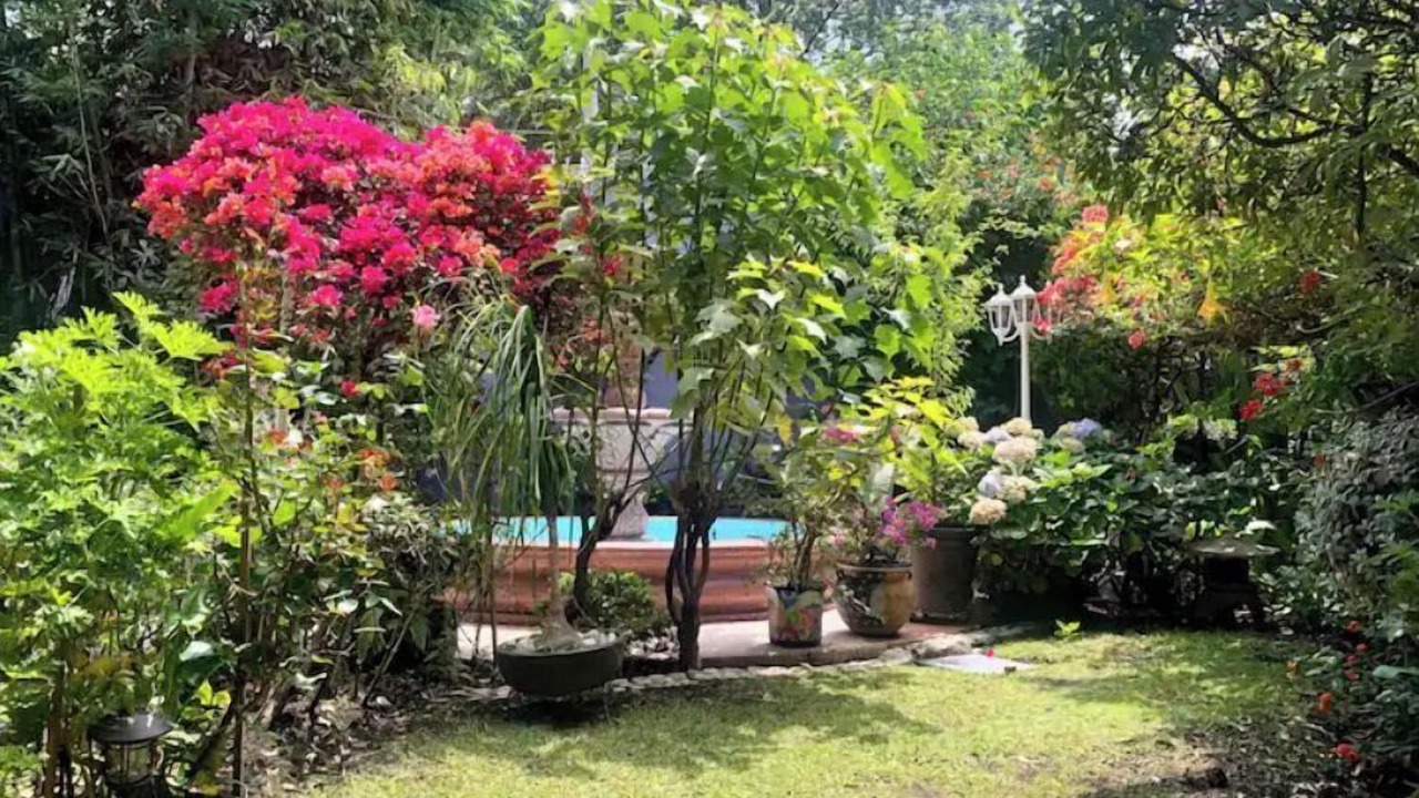 Photo of Outdoor in Del Carmen