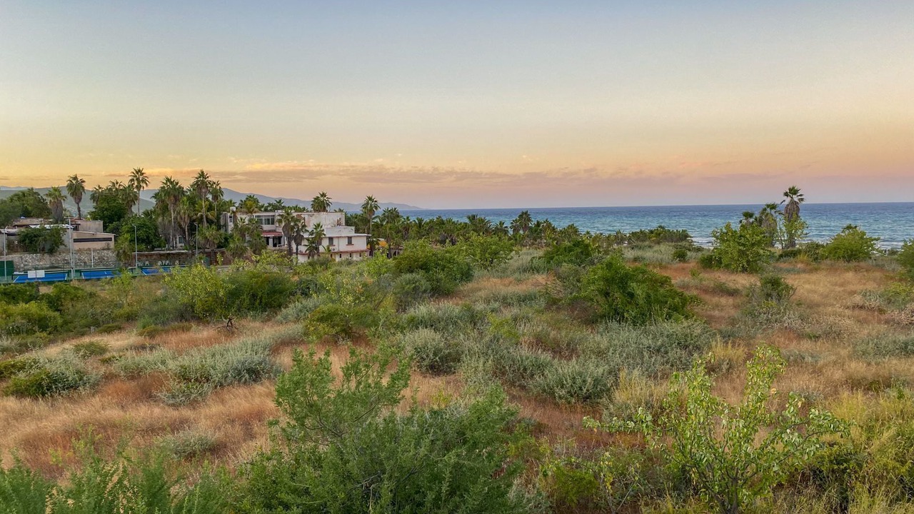 Photo of Outdoor in Buenavista