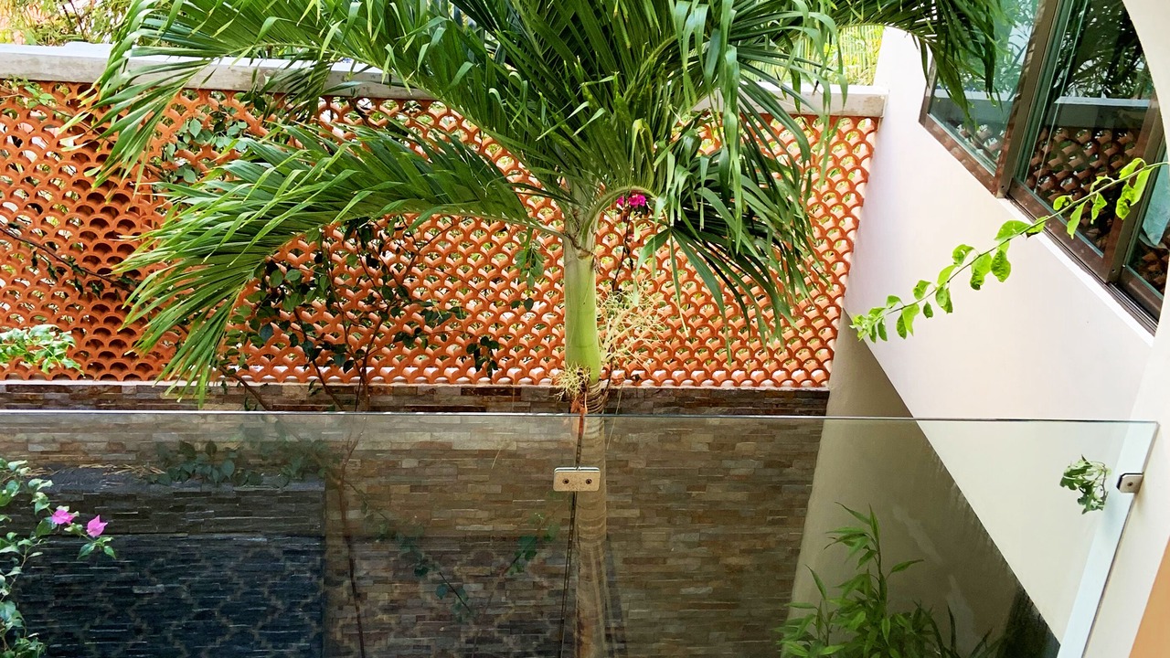 Photo of Outdoor in Telchac Puerto