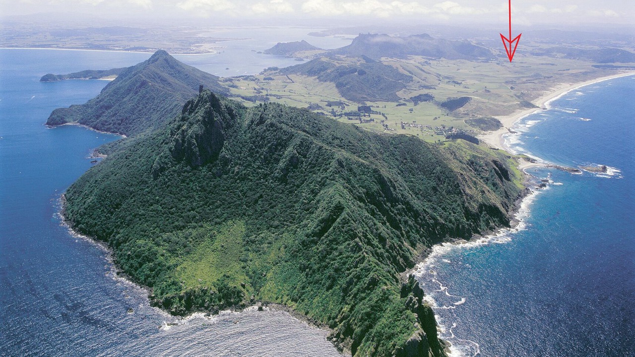 Photo of Others in Whangarei Heads