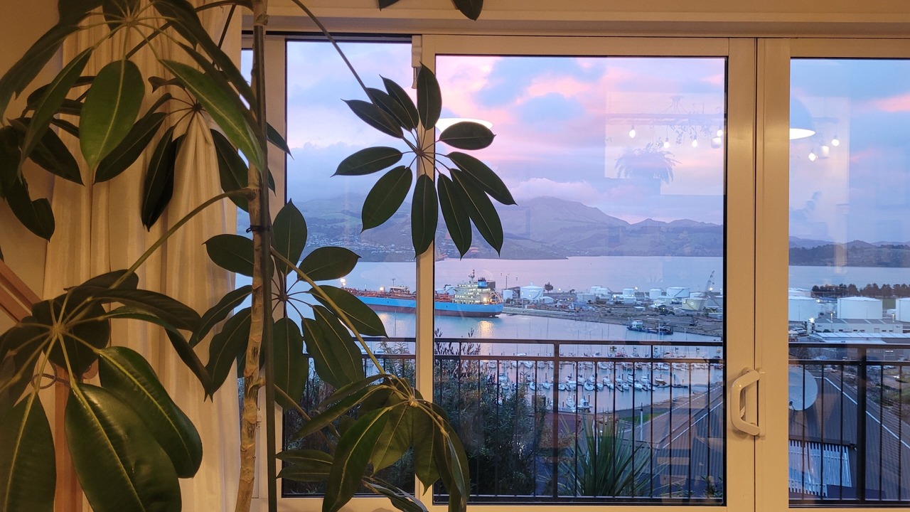 Photo of Others in Lyttelton