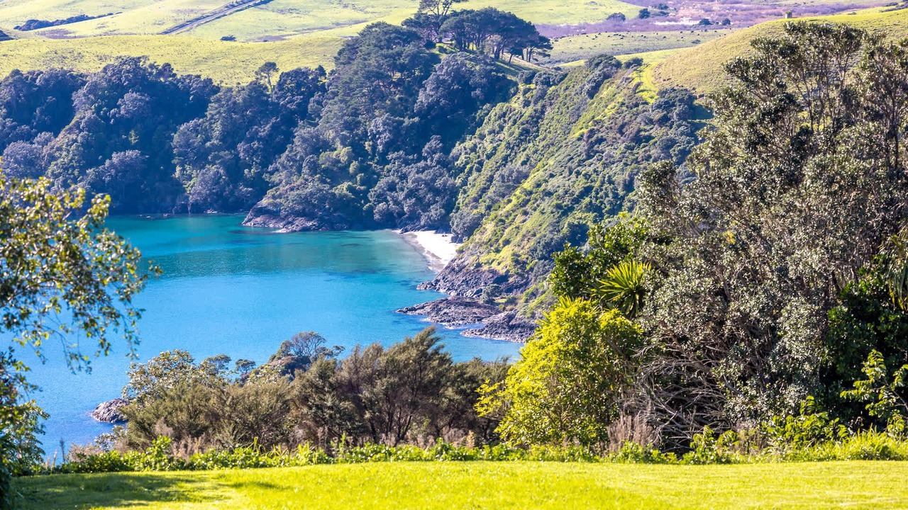Photo of Others in Waiheke Island