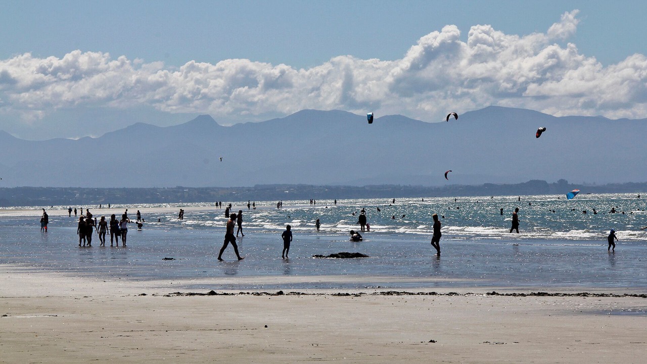Photo of Others in Tahunanui