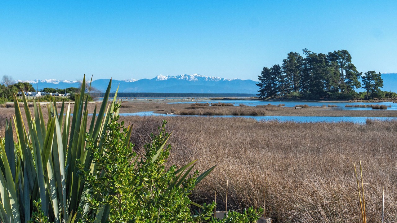 Photo of Others in Tahunanui