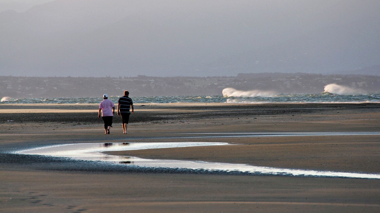 Photo of Others in Tahunanui