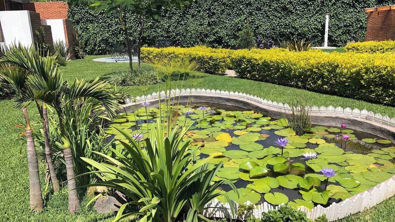 Photo of Outdoor in Tepoztlan