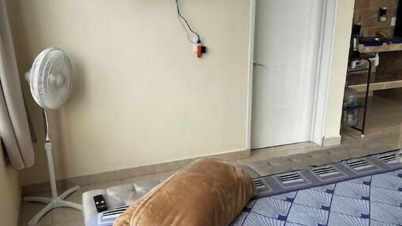 Photo of Bedroom in Ixtacalco