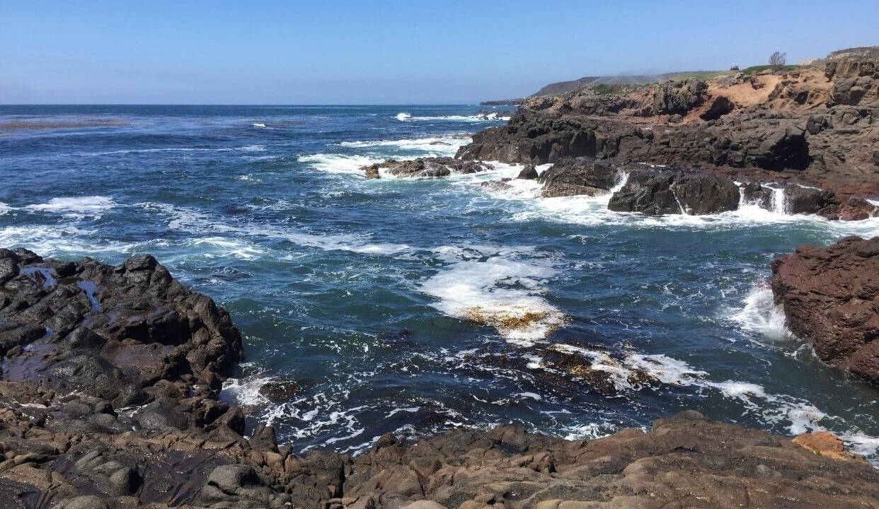 Photo of Others in Ensenada
