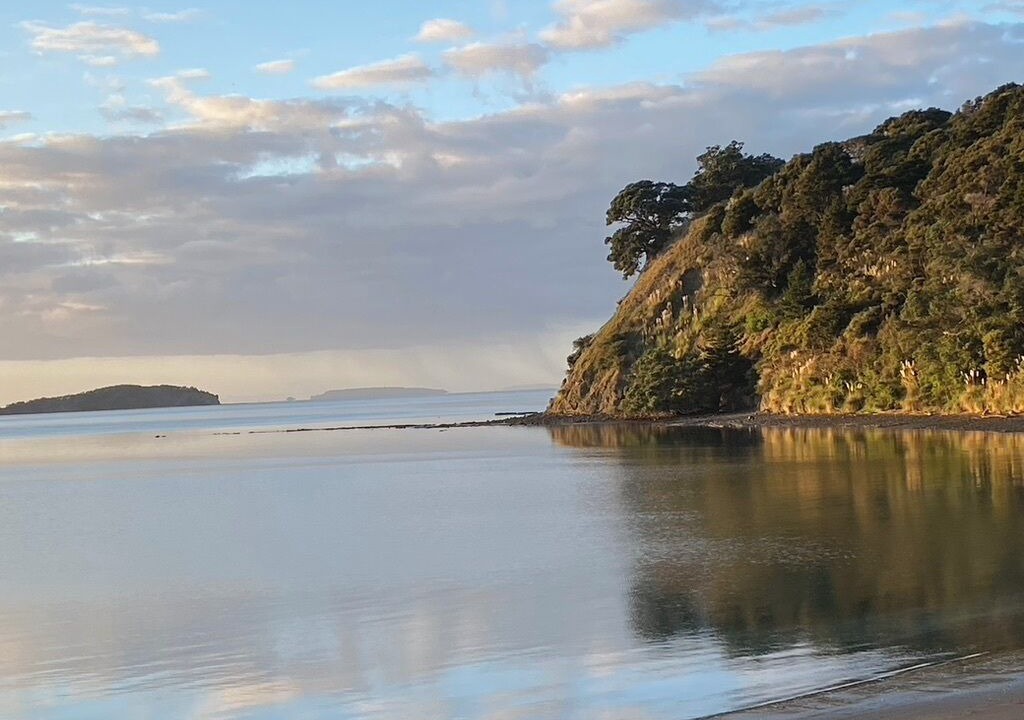 Photo of Others in Mahurangi West