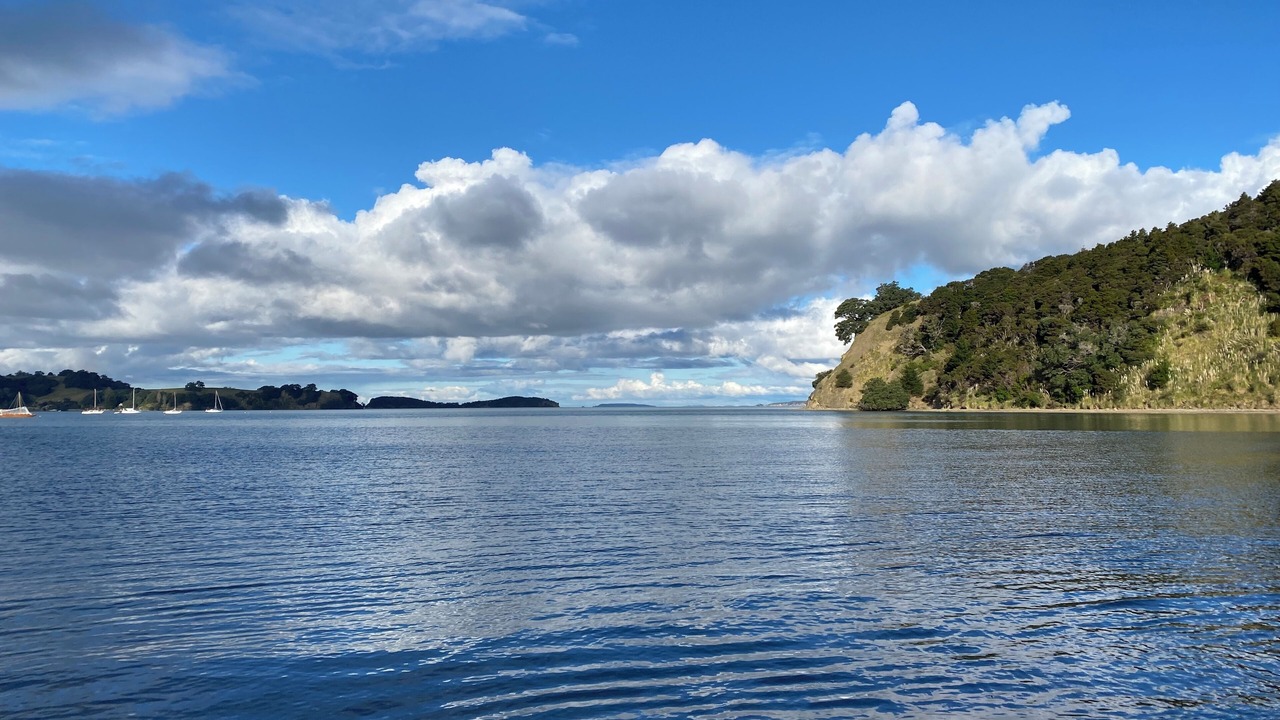 Photo of Others in Mahurangi West