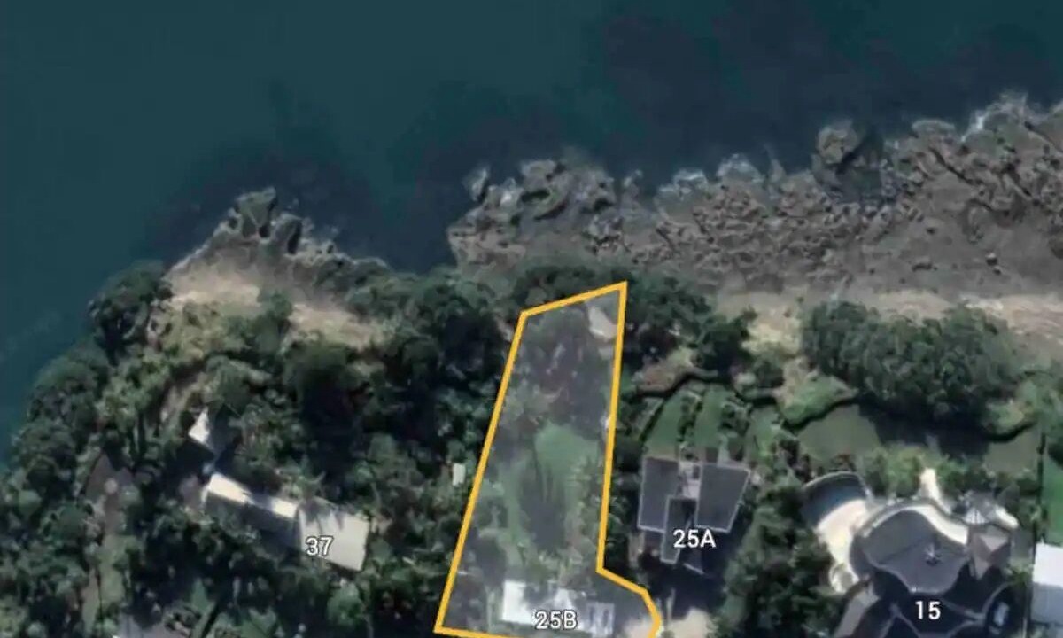 Photo of Others in Stanmore Bay