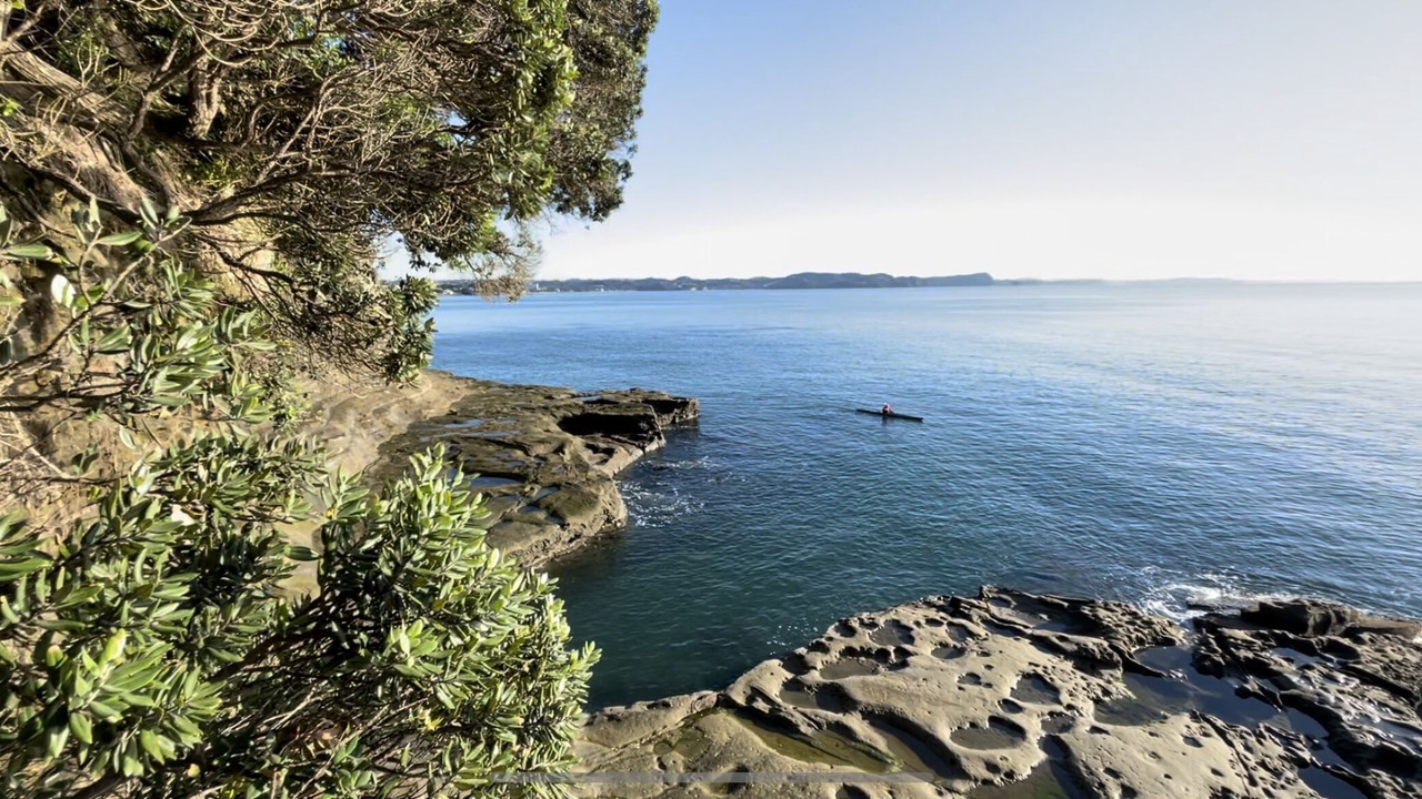 Photo of Others in Stanmore Bay