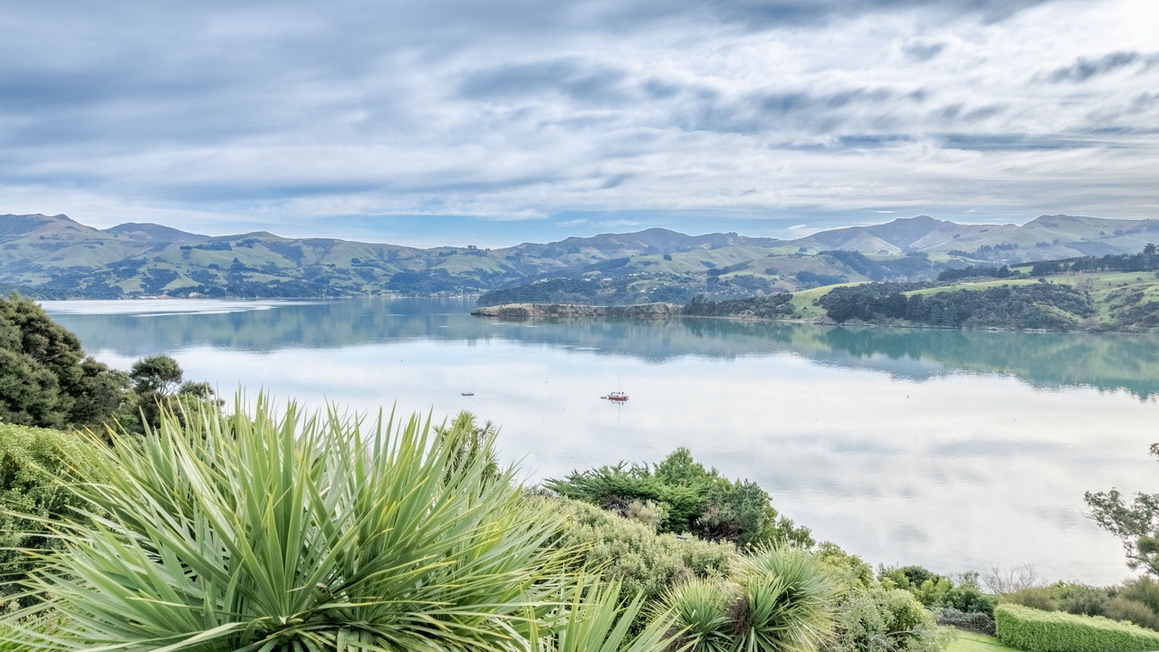 Photo of Outdoor in Akaroa
