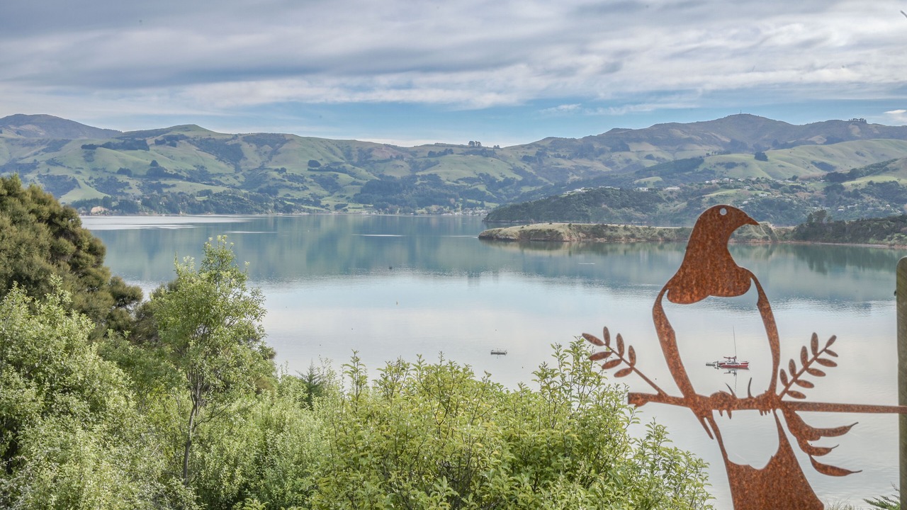 Photo of Others in Akaroa