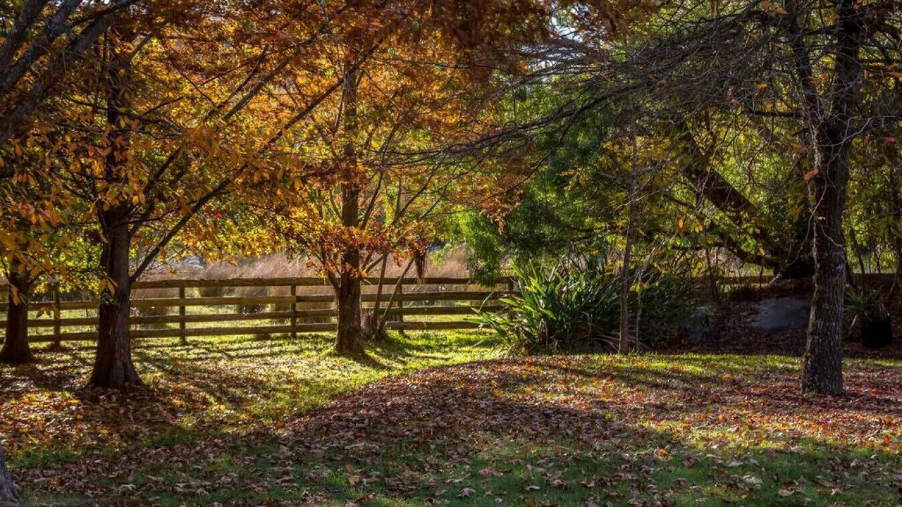 Photo of Outdoor in Solway