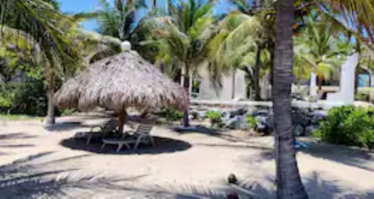 Photo of Patio Balcony in Troncones