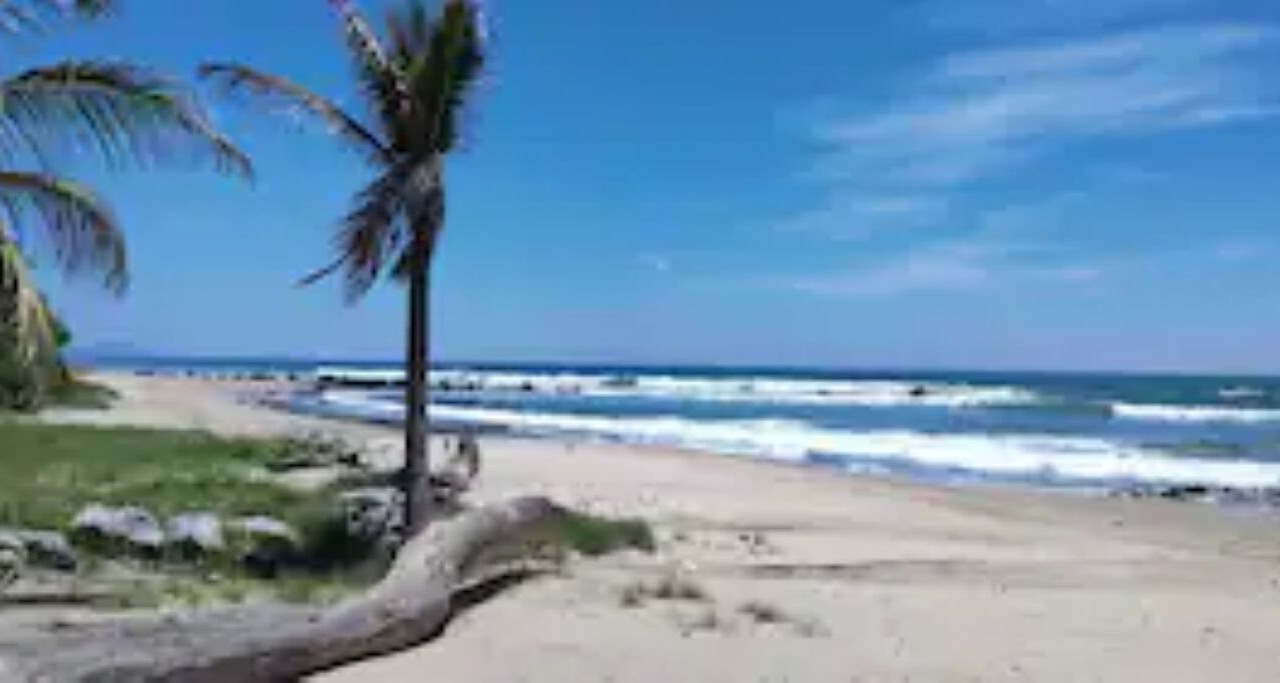 Photo of Others in Troncones