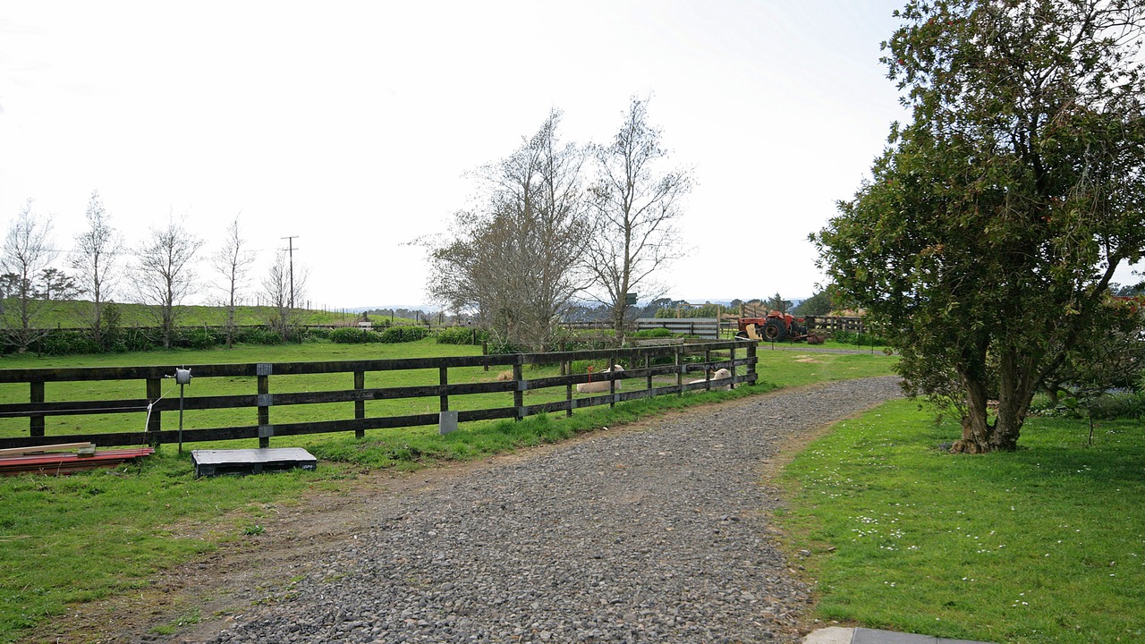 Photo of Outdoor in Mangorei